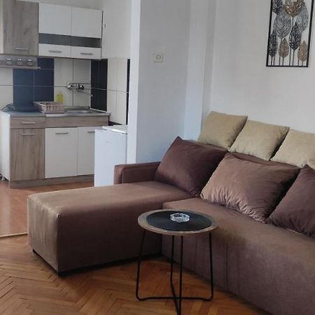 Apartment Mina Soko Banja Dış mekan fotoğraf