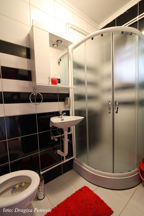 Apartment Mina Soko Banja Dış mekan fotoğraf